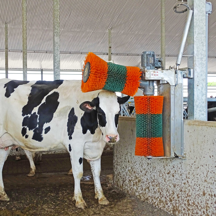 EasySwing® Cow Brushes, Cow Scratching Brush