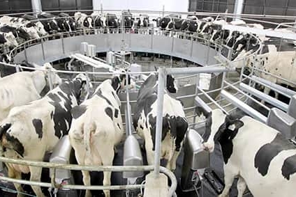 Nulandia Dairy Farms
