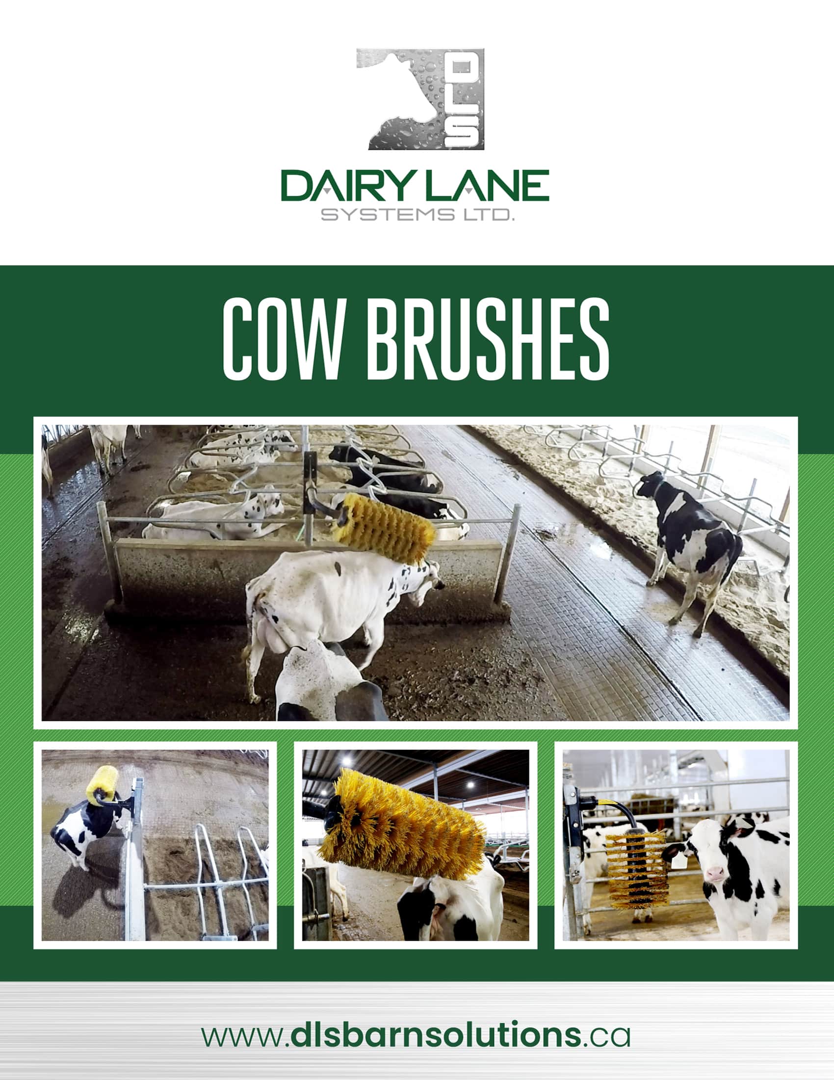 https://dairylane.ca/wp-content/uploads/Cow-Brushes_English-1.jpg