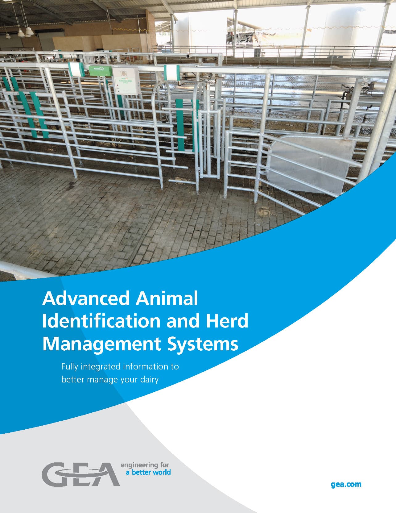 GEA Activity Monitoring - Dairy Lane Systems - Dairy Equip